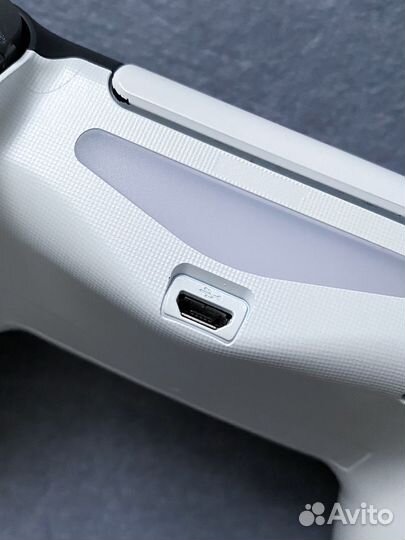 Джойстик DualShock 4 Disgusting Men Rainbo