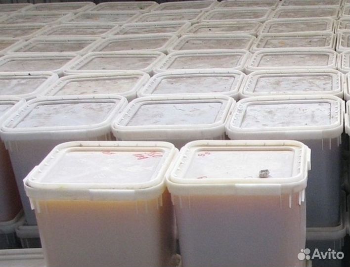 Мед оптом / горный