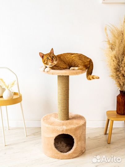 Домик когтеточка для большой кошки