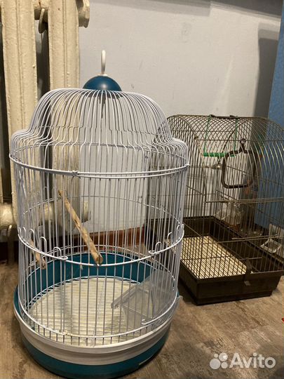 Клетка для попугая