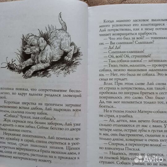 Книга Эрик Хантер. Хроники стаи. Тайный враг