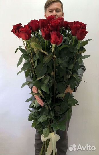 51 Роза, Букеты Цветы Розы 25 101 501 1001