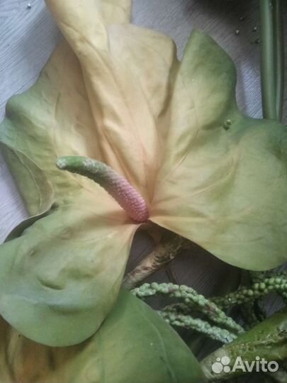 Иск.цветы для бассейна, водоема