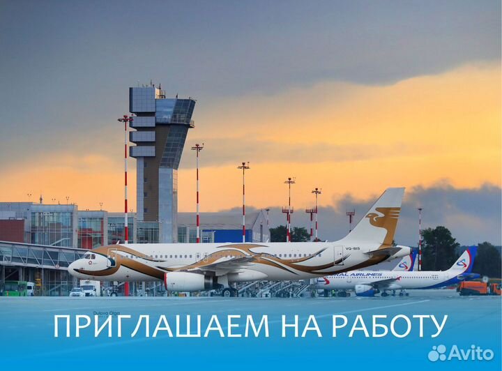 Упаковщик багажа