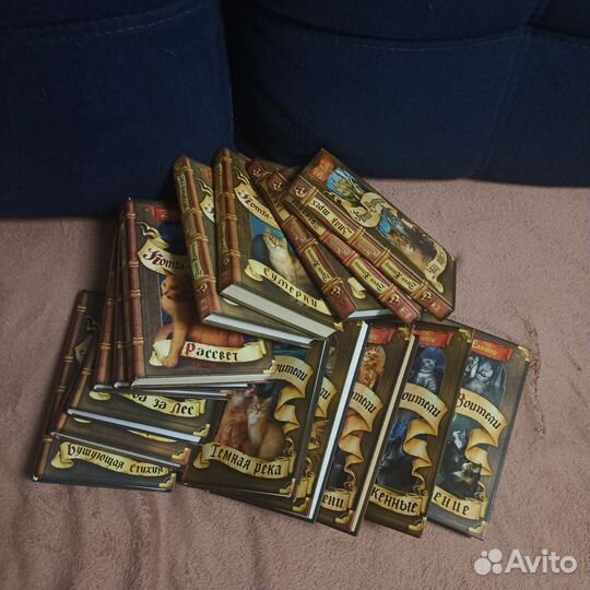 Коты воители книги, 15 штук
