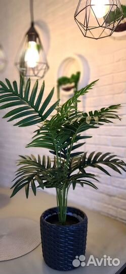 Искусственная Пальма