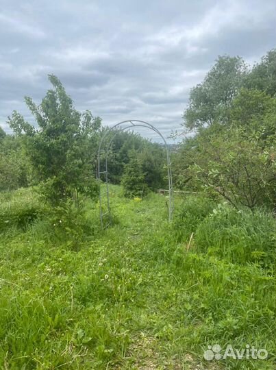 Передержка гостиница для вольерных собак