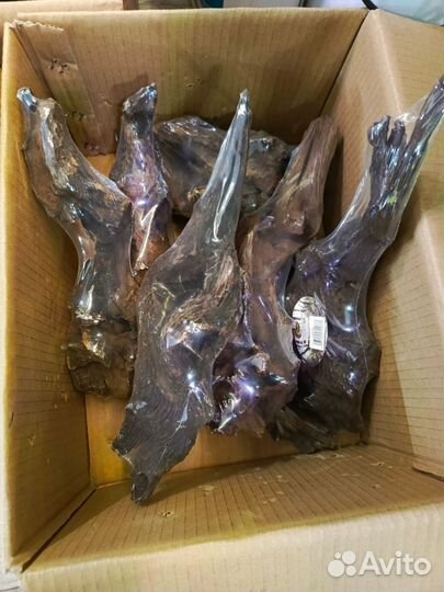 Коряги мангровые