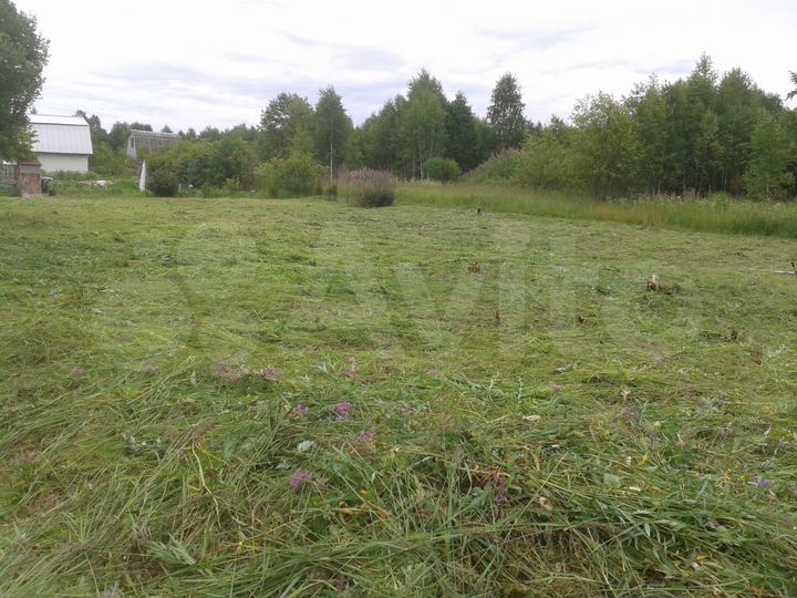 Участок 10 сот. (СНТ, ДНП)