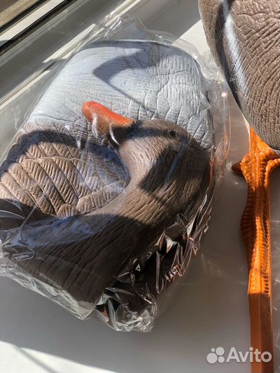 Профиля гусей