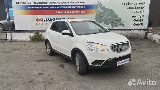 Пыльник Ssang Yong Actyon New 2131134040