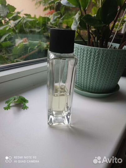 Dolce gabbana парфюмерия оригинал