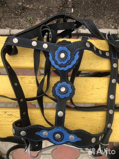 Уздечка для лошади