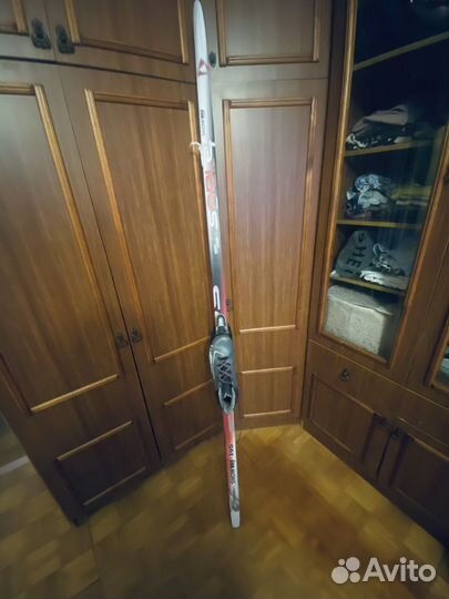 Беговые лыжи