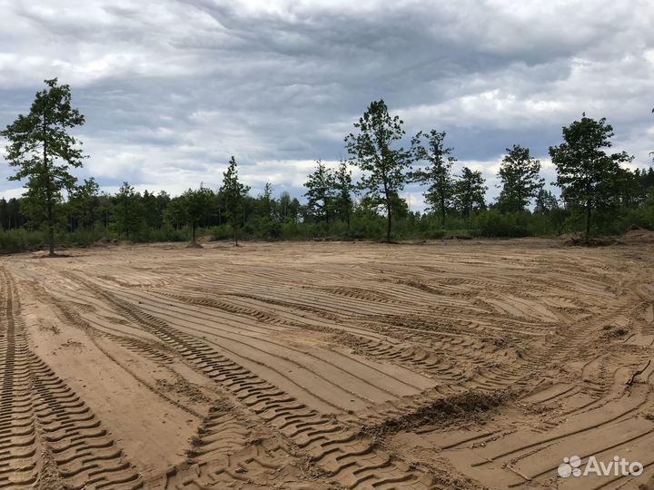 Расчистка участка,спил кустарников,выравнивание