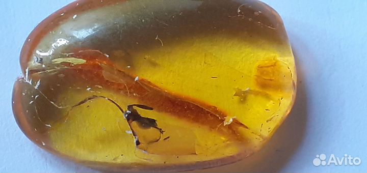 Янтарь с инклюзами 5 шт