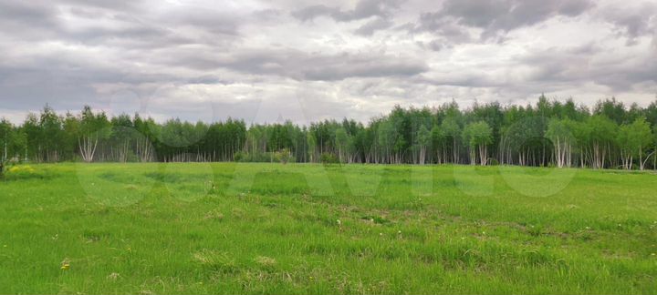 Участок 7,5 сот. (ИЖС)