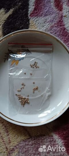 Семена томата мармеладный