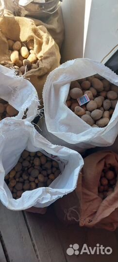 Картофель домашний мелкий