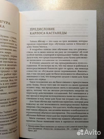 Тайша Абеляр 