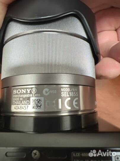 Sony a6000 + Zhiyun Crane Plus