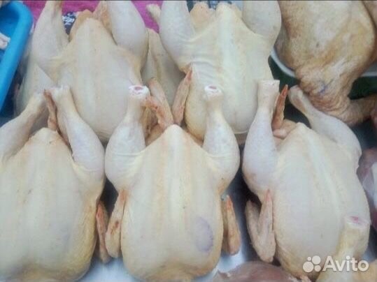 Мясо домашнего бройлера