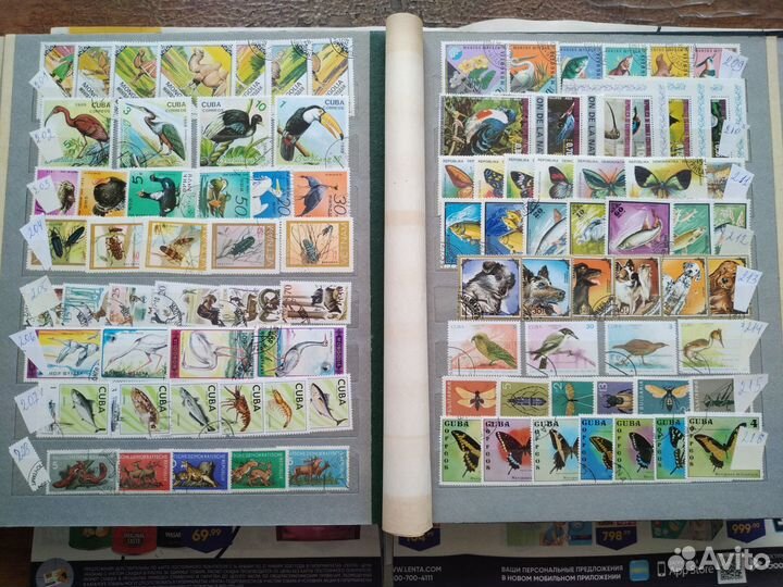 Почтовые марки.Фауна 1