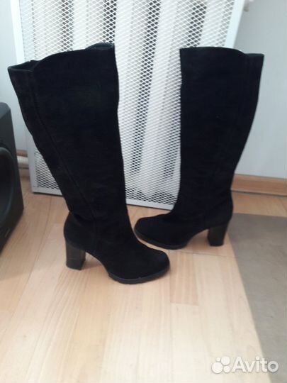 Сапоги женские осенние высокие замшевые Belwest