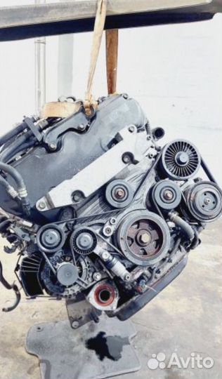 Двигатель Opel Signum 2005 Y30DT 3.0