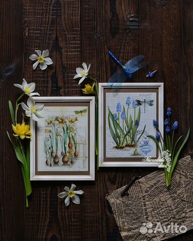 Комплект иллюстрации Нарциссы и мускари