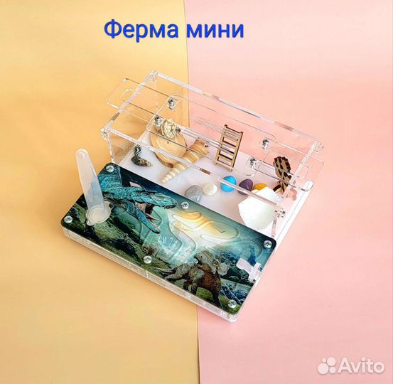 Муравьиная ферма дино
