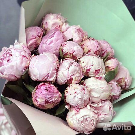 Букет пионов, Пионы 9 15 21