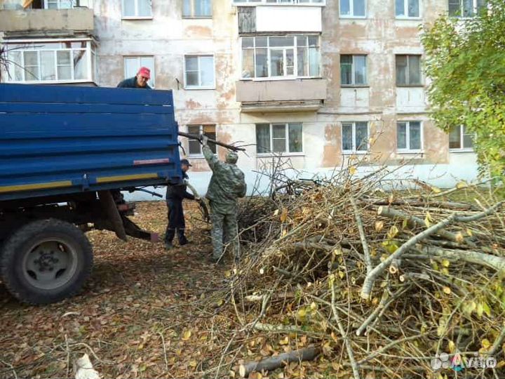 Очистка участка от деревьев,благоустройство