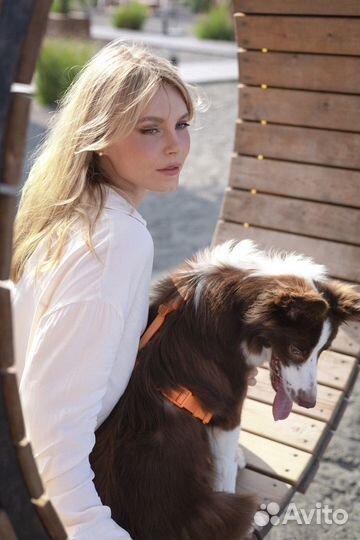 Фотограф животных, зоофотограф