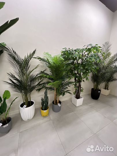 Искусственные растения в ассортименте