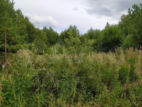 Участок 12,2 сот. (СНТ, ДНП)