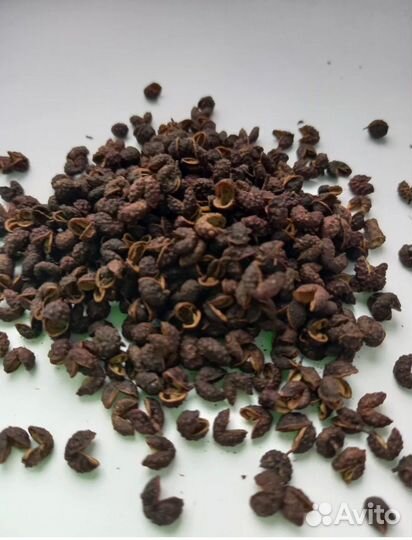 Перец Тимут непальский