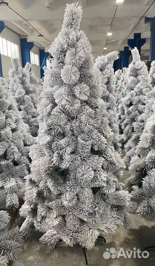 Ёлки оптом