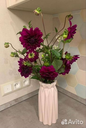 Ирисы,Канны