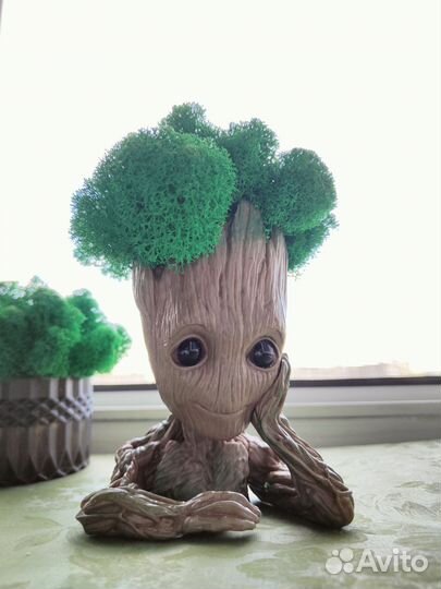 Грунт, кашпо, декор для интерьера, в подарок