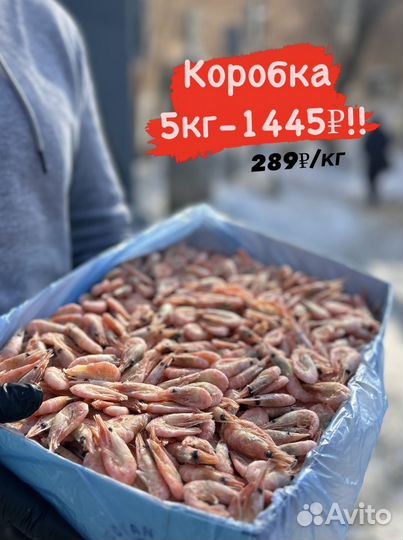 Креветка северная 250+