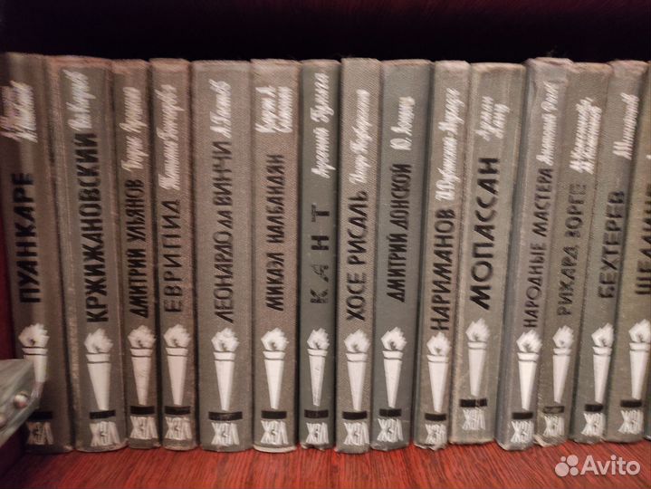 Книги серия жизнь замечательных людей жзл