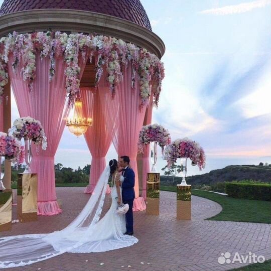 Фотограф, видеооператор