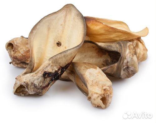 Лакомства для собак