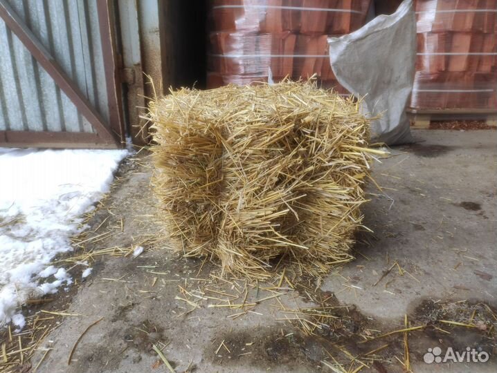 Солома в тюках с доставкой