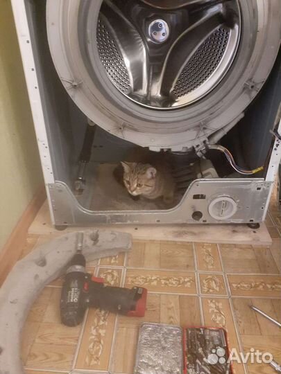 Ремонт стиральных машин