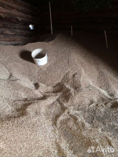 Зерно сухое