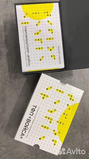 Тифлофлешплеер войса