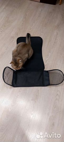 Переноска для кошек и собак