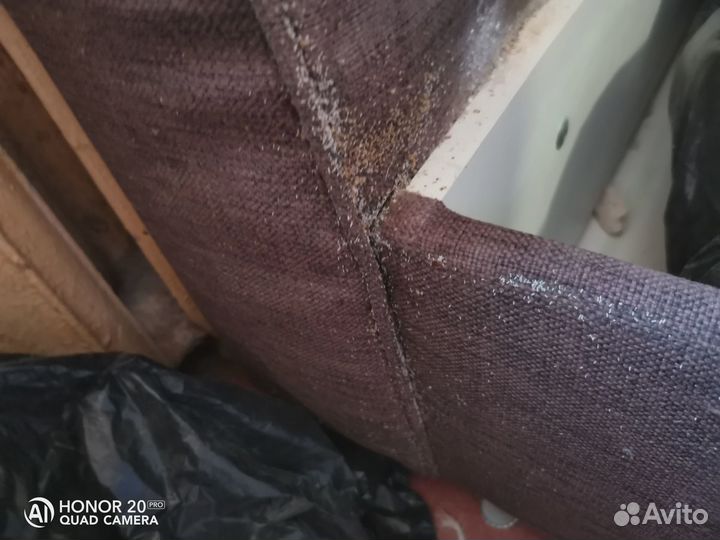 Уничтожение насекомых. Клопы, тараканы, клещи